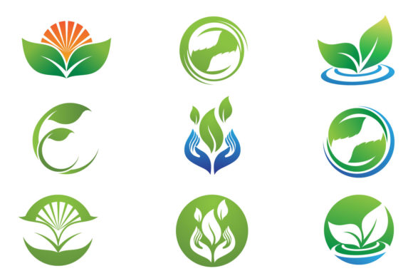 Why the Leaf Green Fresh Nature Logo Vector Remains a Cornerstone of Visual Trust